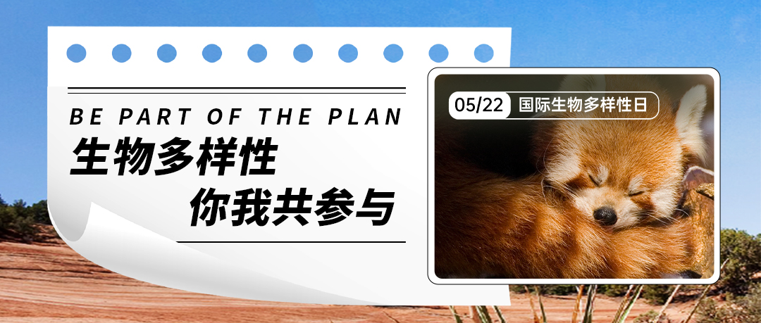 壹号娱乐